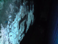 Salpeter Salpeter ausblühungen